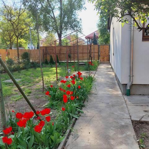 Ujszeged Apartman Exterior foto